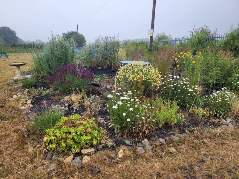 Other image for Barnsley’s best garden: How digging deep has been group’s only option